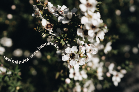 Text: real Manuka, pure happiness Image: Manuka bush