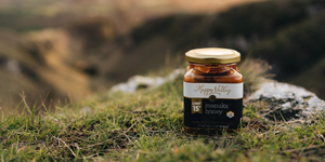 What is UMF 15+ Manuka Honey Good For?